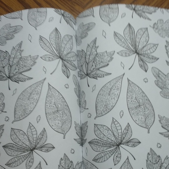 Flowers & Nature Coloring Book - Picture 4 of 6